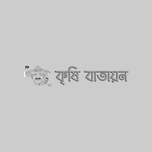 বিনা সরিষা- ৬