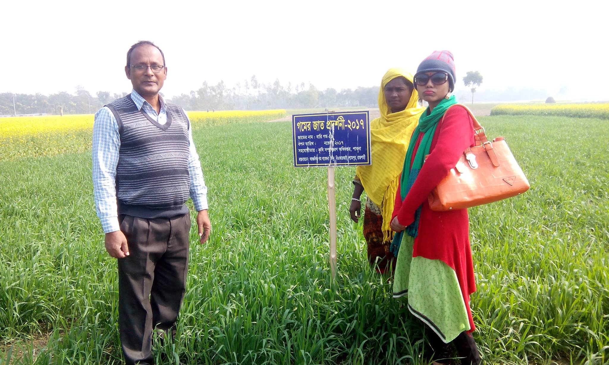 গম প্রদর্শনী